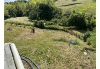 Fincas y Casas Campestres, Venta, Calima (Darién) - $650.000.000