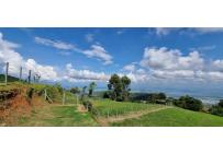 Lotes, Venta, Dapa - $550.000.000