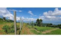 Lotes, Venta, Dapa - $550.000.000