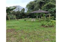 Lotes, Venta, Dagua - $150.000.000