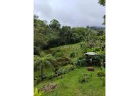 Lotes, Venta, Dagua - $150.000.000