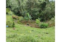 Lotes, Venta, Dagua - $150.000.000