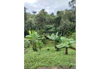 Lotes, Venta, Dagua - $150.000.000
