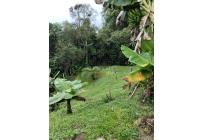 Lotes, Venta, Dagua - $150.000.000