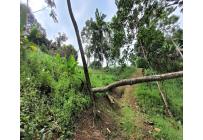 Lotes, Venta, Bella Suiza - $500.000.000