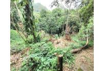 Lotes, Venta, Bella Suiza - $500.000.000