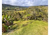 Fincas y Casas Campestres, Venta, Dagua - $700.000.000
