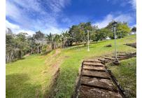 Fincas y Casas Campestres, Venta, Dagua - $700.000.000