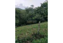 Lotes, Venta, Jardín de Pance - $153.000.000