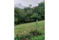 Lotes, Venta, Jardín de Pance - $153.000.000