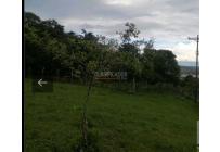 Lotes, Venta, Calima (Darién) - $450.000.000