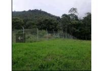 Lotes, Venta, Calima (Darién) - $450.000.000