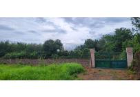 Lotes, Venta, Palmira - $950.000.000