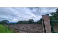 Lotes, Venta, Palmira - $950.000.000