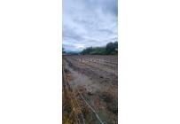 Lotes, Venta, Palmira - $950.000.000