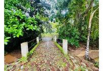 Casas, Venta, Melgar - $440.000.000
