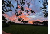 Lotes, Venta, Palmira - $950.000.000