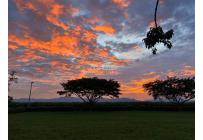 Lotes, Venta, Palmira - $950.000.000