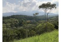 Lotes, Venta, Pance - $1.200.000.000