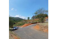 Lotes, Venta, Palmira - $425.000.000