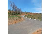 Lotes, Venta, Palmira - $425.000.000