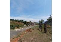 Lotes, Venta, Palmira - $425.000.000