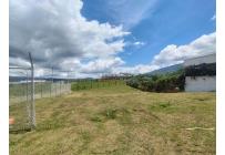 Lotes, Venta, Calima (Darién) - $190.000.000
