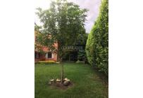 Casas, Venta, Pance - $1.800.000.000