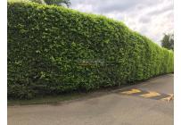Casas, Venta, Pance - $1.800.000.000
