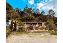 Fincas y Casas Campestres, Alquiler, La Castilla - $8.650.000
