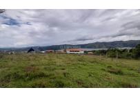 Lotes, Venta, Calima (Darién) - $420.000.000