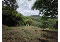 Lotes, Venta, Yumbo - $199.000.000