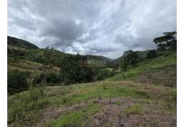 Lotes, Venta, Yumbo - $199.000.000