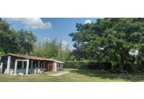 Fincas y Casas Campestres, Venta, Palmira - $880.000.000