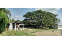 Fincas y Casas Campestres, Venta, Palmira - $880.000.000