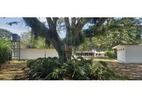Fincas y Casas Campestres, Venta, Palmira - $880.000.000