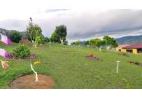 Fincas y Casas Campestres, Venta, Dagua - $600.000.000