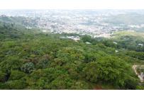 Lotes, Venta, Cristo Rey - $2.000.000.000