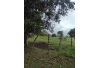 Fincas y Casas Campestres, Venta, Dagua - $2.500.000.000