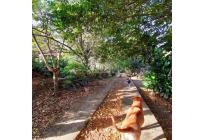 Casas, Venta, La Buitrera - $899.000.000