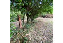 Casas, Venta, La Buitrera - $899.000.000