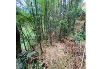 Casas, Venta, La Buitrera - $899.000.000