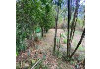 Casas, Venta, La Buitrera - $899.000.000