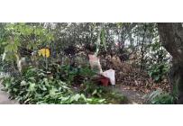 Casas, Alquiler, Ciudadela Comfandi - $1.150.000
