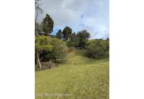 Lotes, Venta, La Calera - $450.000.000