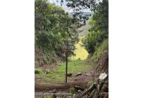 Lotes, Venta, La Calera - $450.000.000