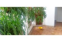 Apartamentos, Venta, El Peñón - $800.000.000