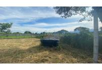 Lotes, Venta, Palmira - $320.000.000