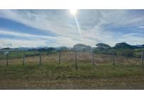 Lotes, Venta, Palmira - $320.000.000