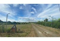 Lotes, Venta, Palmira - $320.000.000